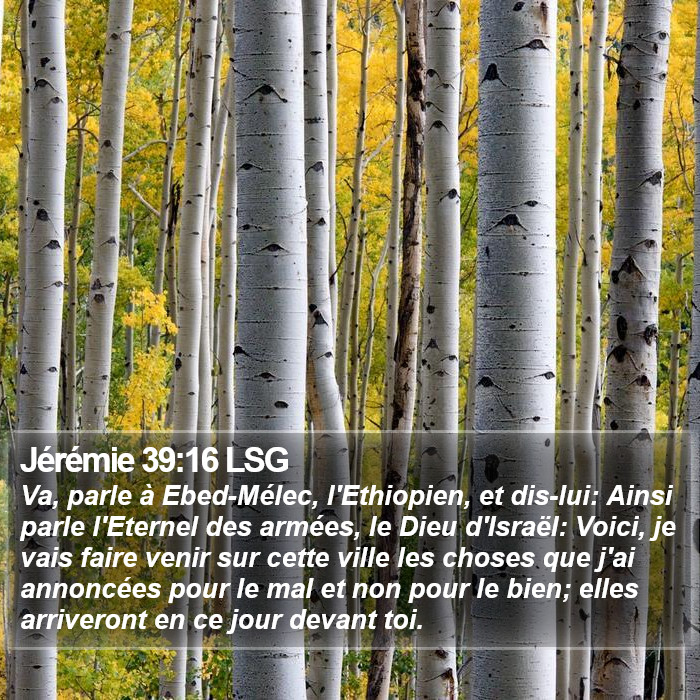 Jérémie 39:16 LSG Bible Study