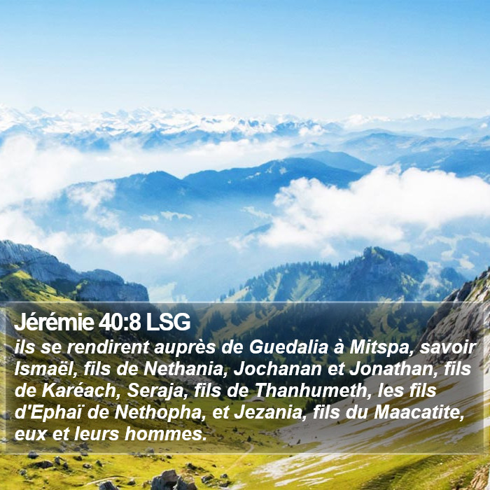 Jérémie 40:8 LSG Bible Study