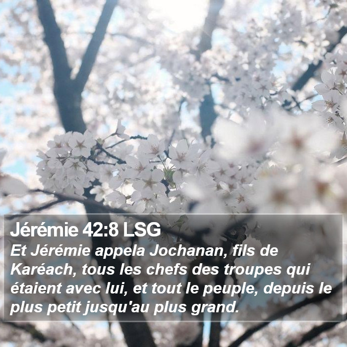 Jérémie 42:8 LSG Bible Study