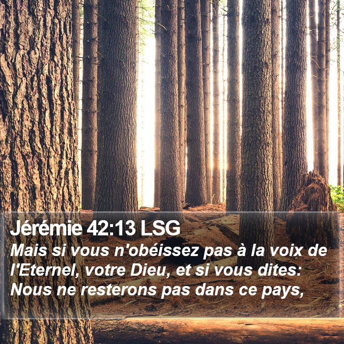 Jérémie 42:13 LSG Bible Study