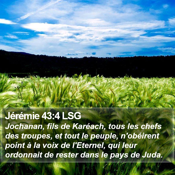 Jérémie 43:4 LSG Bible Study