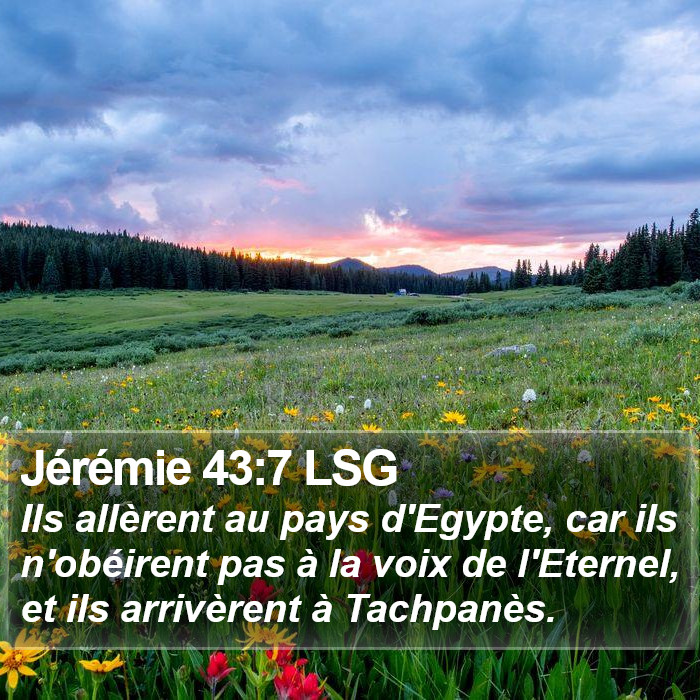 Jérémie 43:7 LSG Bible Study