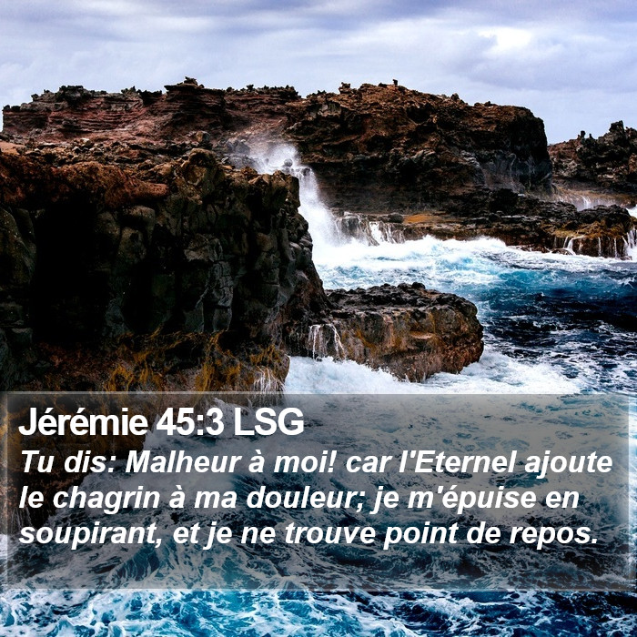 Jérémie 45:3 LSG Bible Study