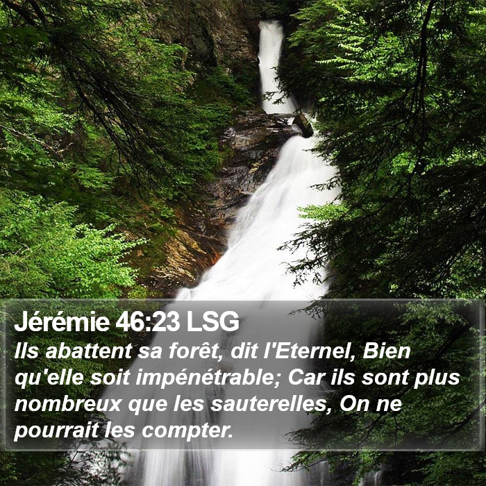 Jérémie 46:23 LSG Bible Study