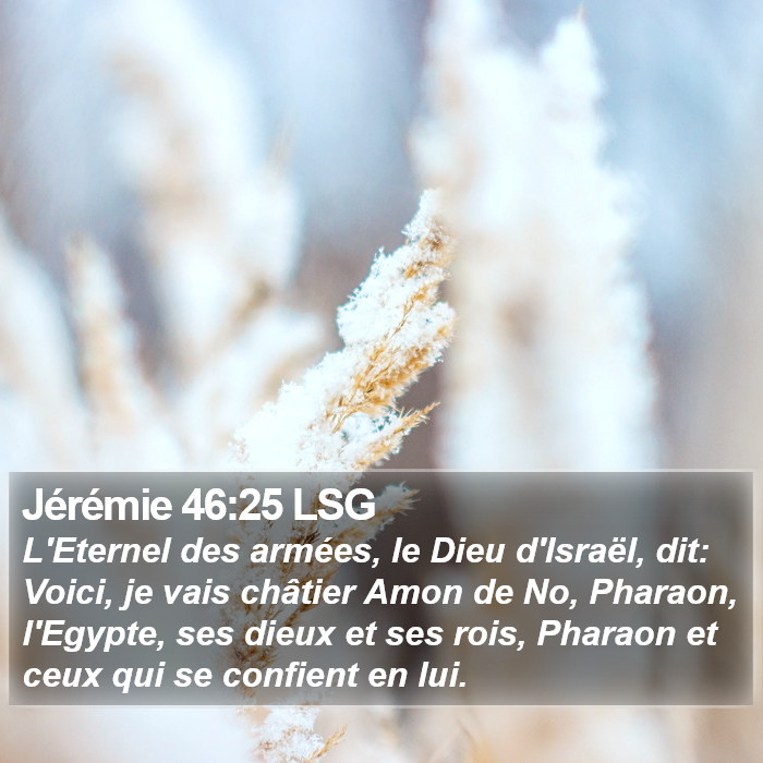 Jérémie 46:25 LSG Bible Study