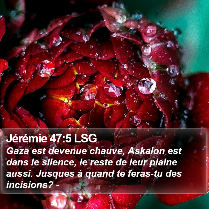 Jérémie 47:5 LSG Bible Study