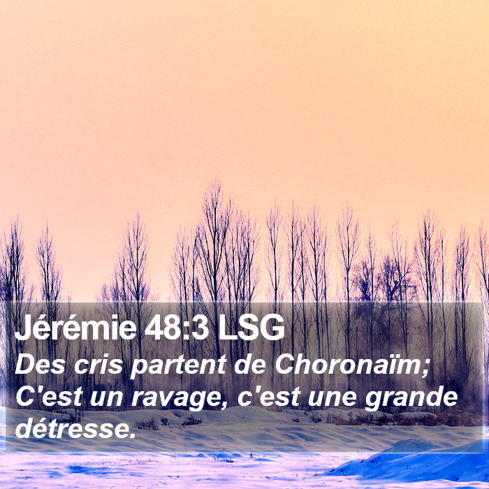 Jérémie 48:3 LSG Bible Study