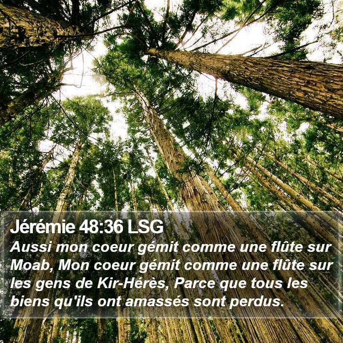 Jérémie 48:36 LSG Bible Study