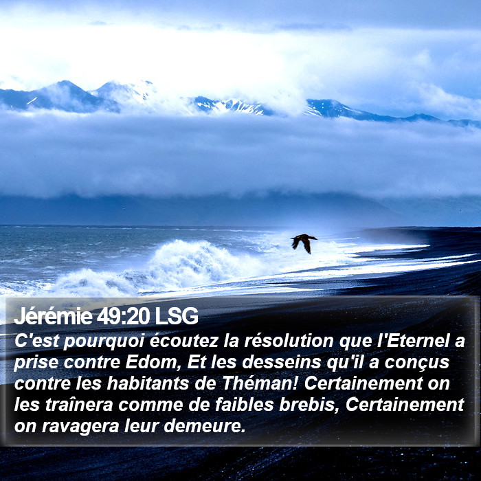 Jérémie 49:20 LSG Bible Study