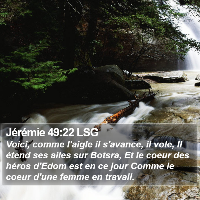 Jérémie 49:22 LSG Bible Study