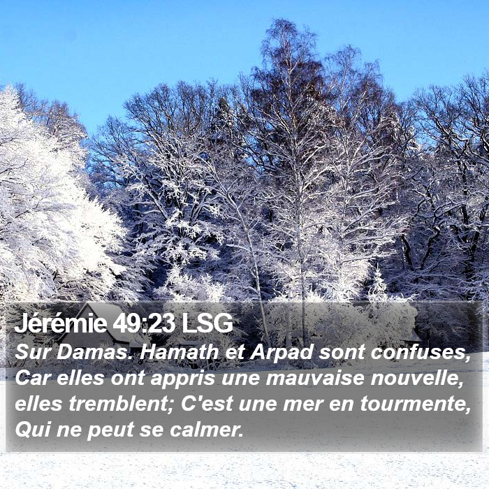 Jérémie 49:23 LSG Bible Study