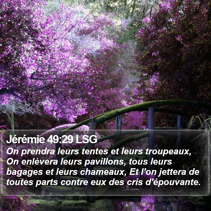 Jérémie 49:29 LSG Bible Study