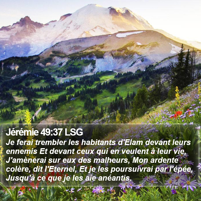 Jérémie 49:37 LSG Bible Study