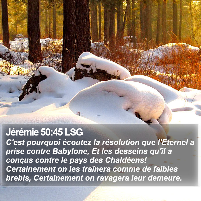 Jérémie 50:45 LSG Bible Study
