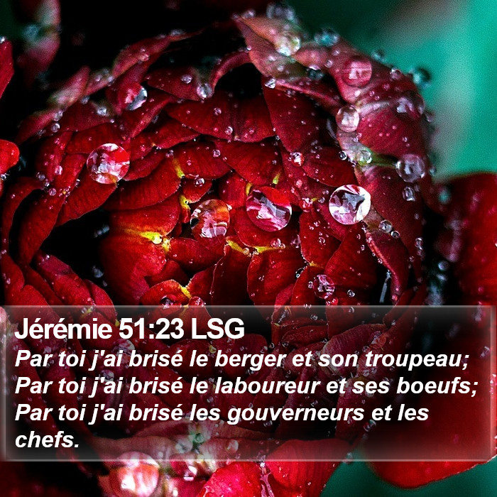 Jérémie 51:23 LSG Bible Study