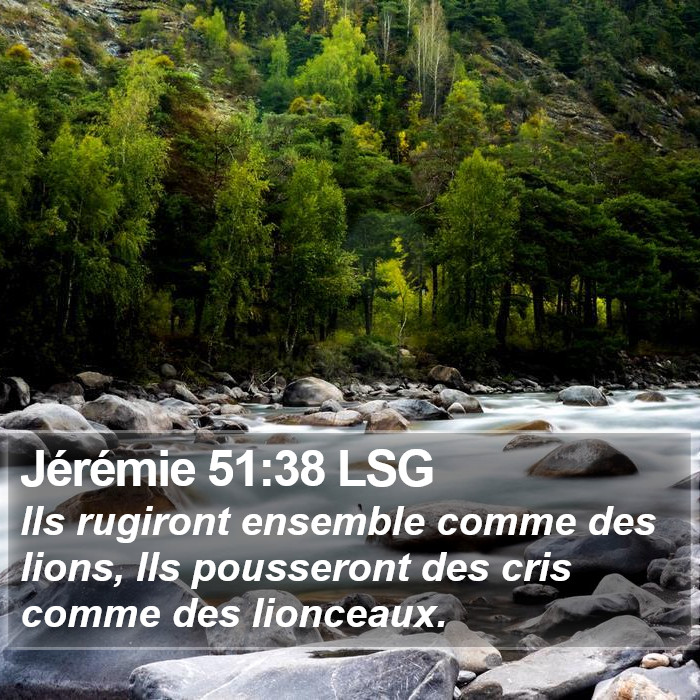 Jérémie 51:38 LSG Bible Study