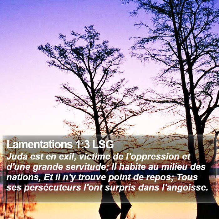 Lamentations 1:3 LSG Bible Study