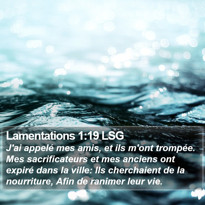 Lamentations 1:19 LSG Bible Study