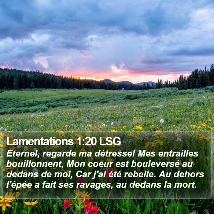 Lamentations 1:20 LSG Bible Study