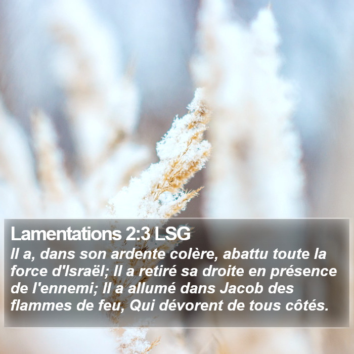 Lamentations 2:3 LSG Bible Study