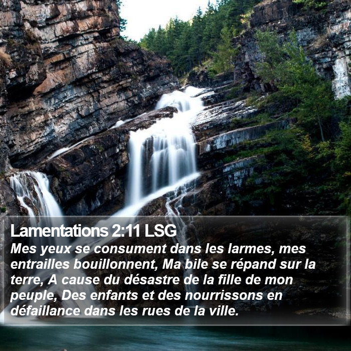 Lamentations 2:11 LSG Bible Study