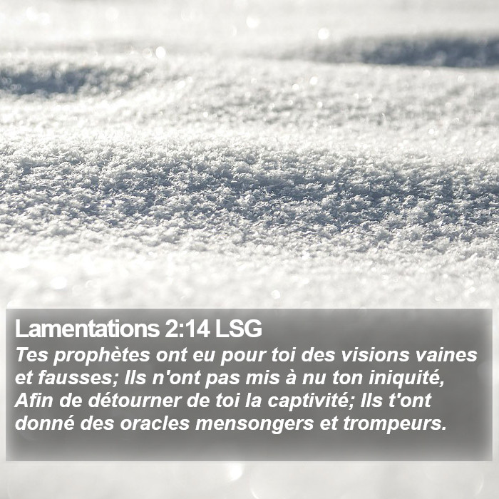 Lamentations 2:14 LSG Bible Study