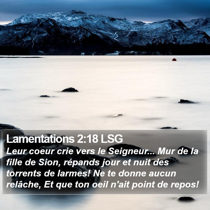 Lamentations 2:18 LSG Bible Study