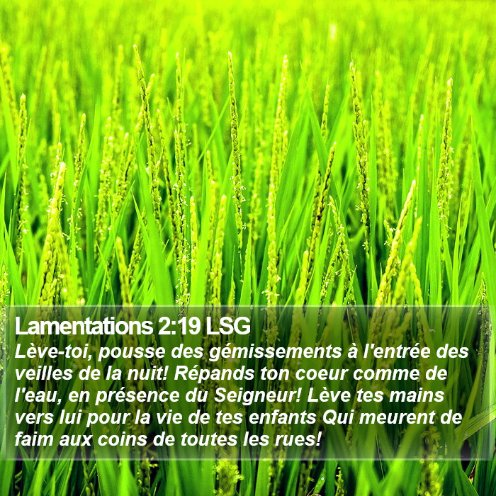 Lamentations 2:19 LSG Bible Study