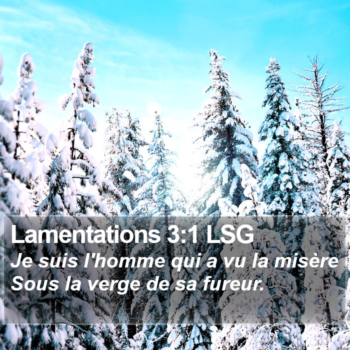 Lamentations 3:1 LSG Bible Study