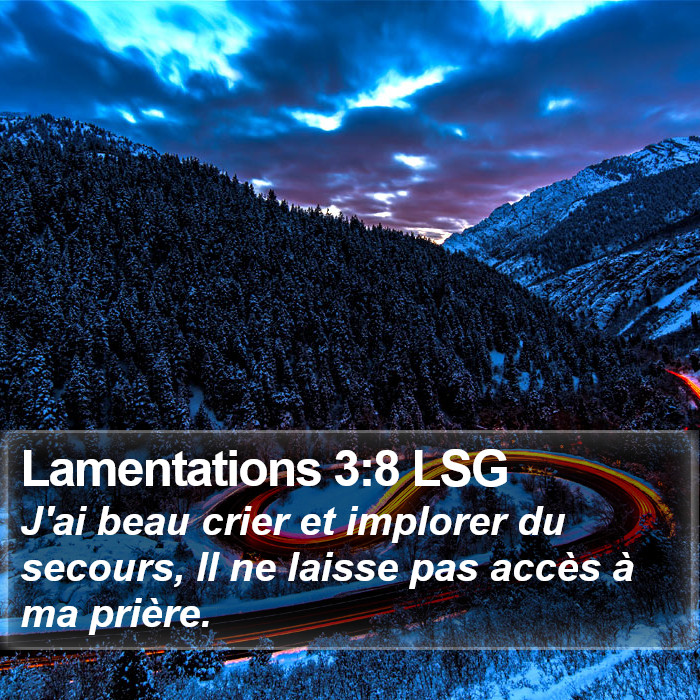 Lamentations 3:8 LSG Bible Study