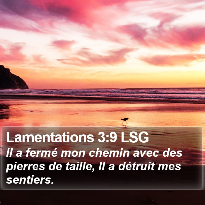 Lamentations 3:9 LSG Bible Study