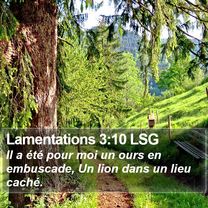 Lamentations 3:10 LSG Bible Study