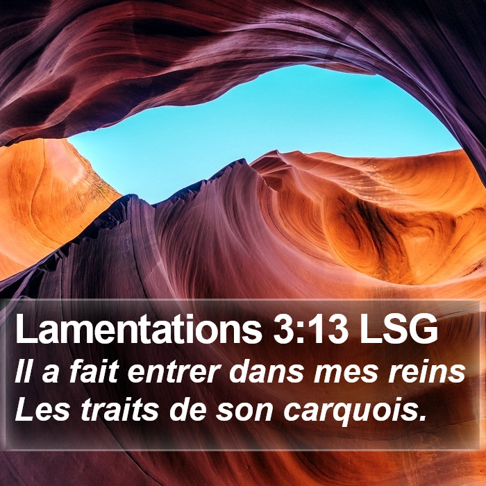 Lamentations 3:13 LSG Bible Study