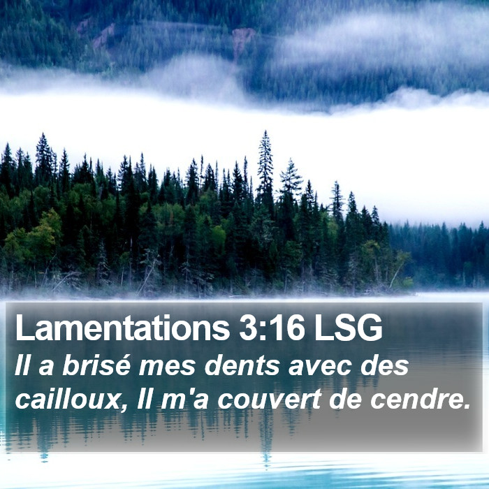 Lamentations 3:16 LSG Bible Study