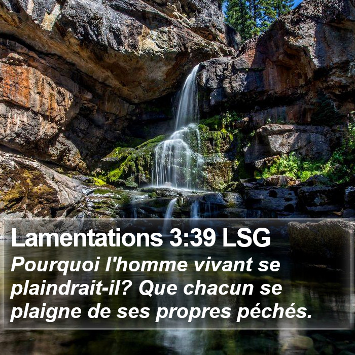 Lamentations 3:39 LSG Bible Study