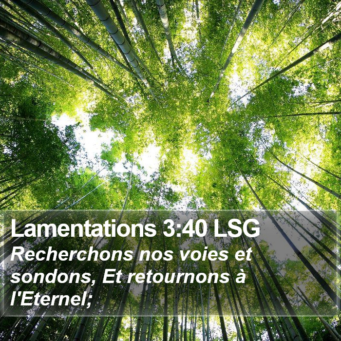 Lamentations 3:40 LSG Bible Study