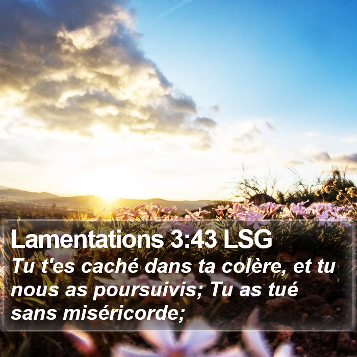 Lamentations 3:43 LSG Bible Study