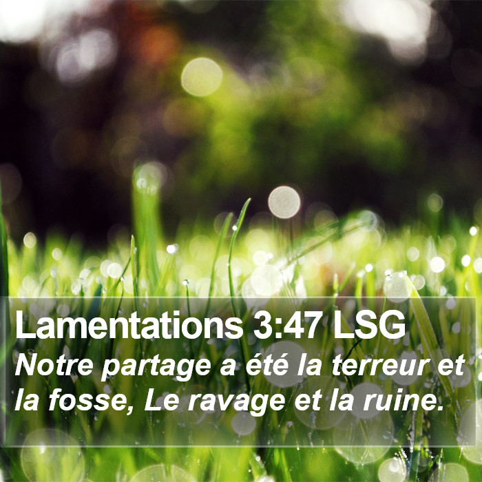 Lamentations 3:47 LSG Bible Study