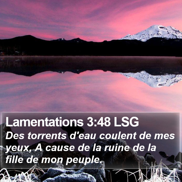 Lamentations 3:48 LSG Bible Study