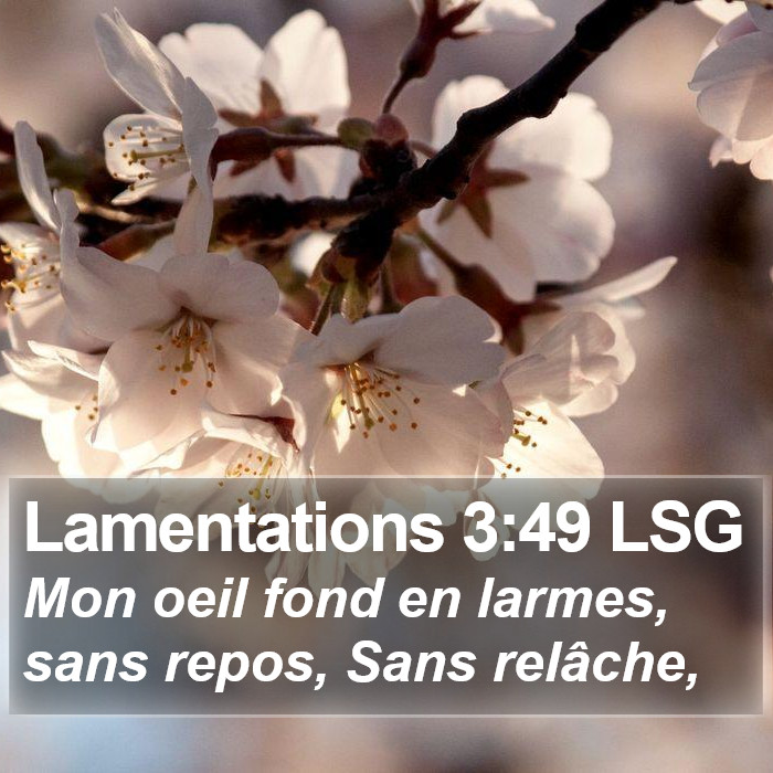 Lamentations 3:49 LSG Bible Study