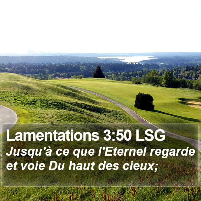 Lamentations 3:50 LSG Bible Study