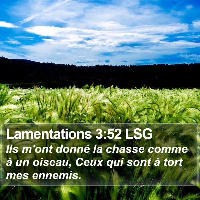 Lamentations 3:52 LSG Bible Study