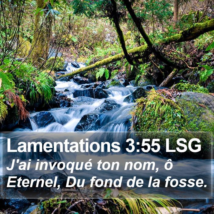 Lamentations 3:55 LSG Bible Study