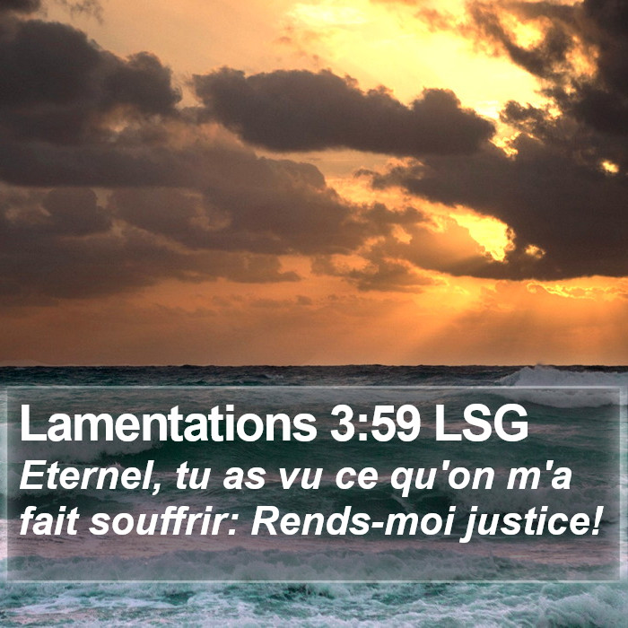 Lamentations 3:59 LSG Bible Study