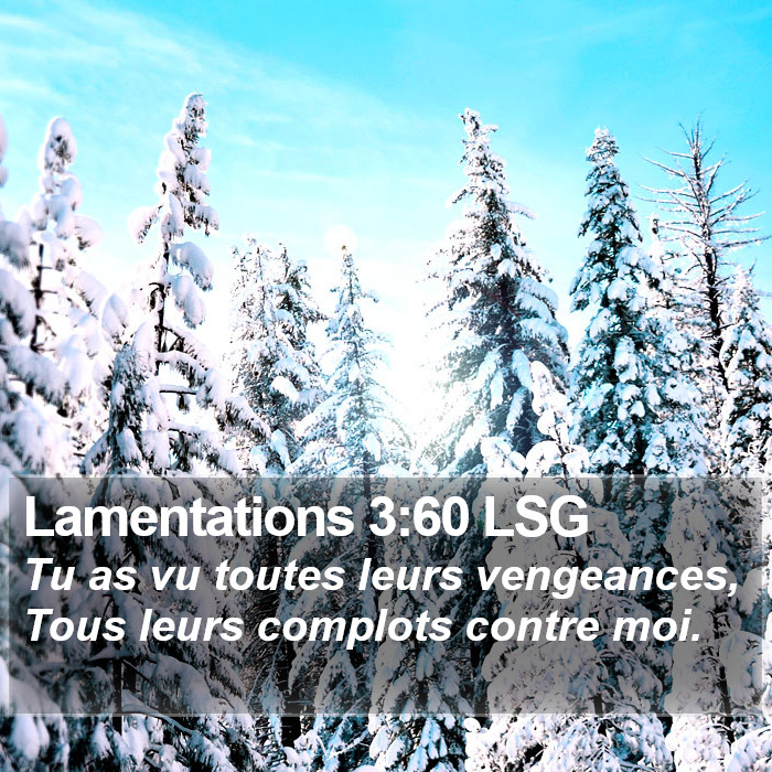 Lamentations 3:60 LSG Bible Study