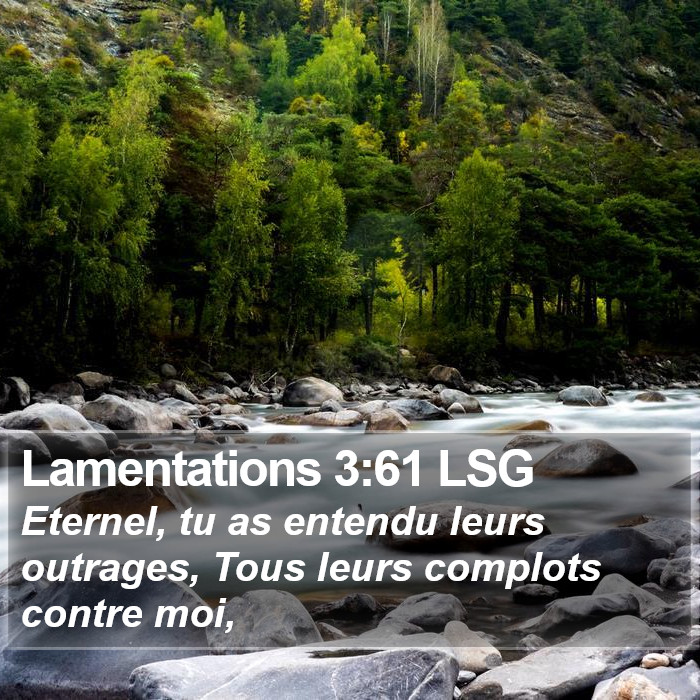 Lamentations 3:61 LSG Bible Study