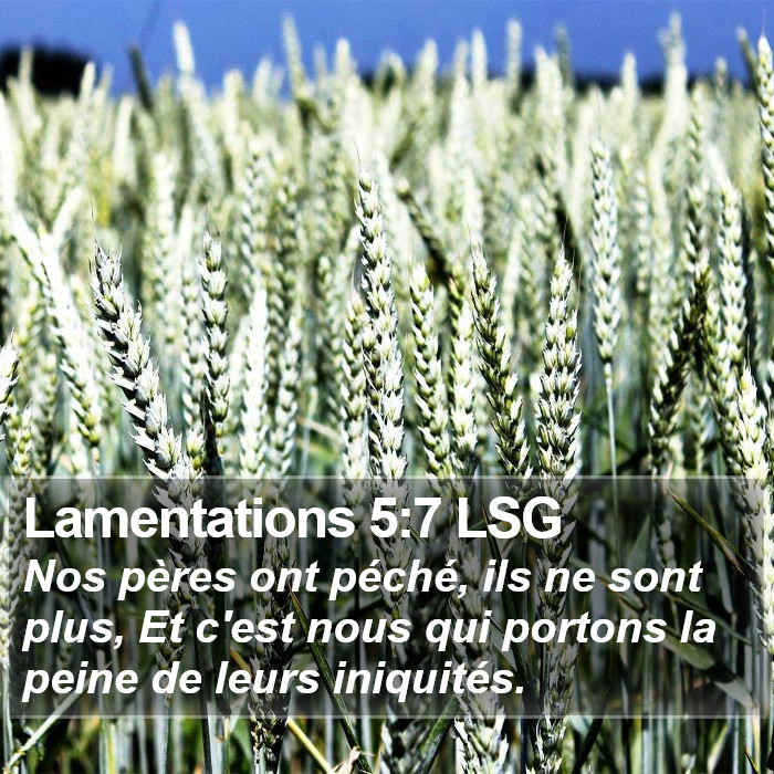 Lamentations 5:7 LSG Bible Study