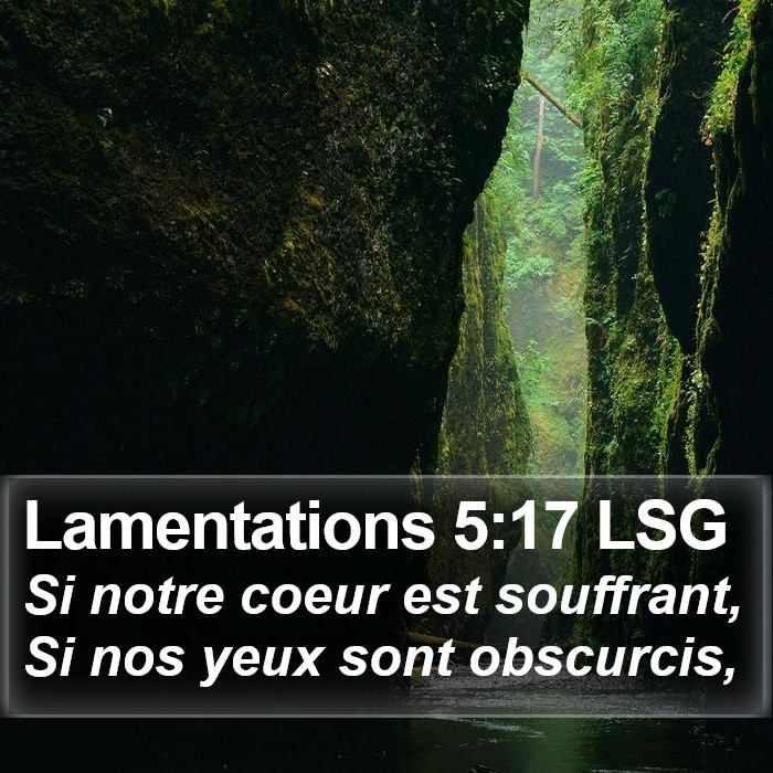 Lamentations 5:17 LSG Bible Study