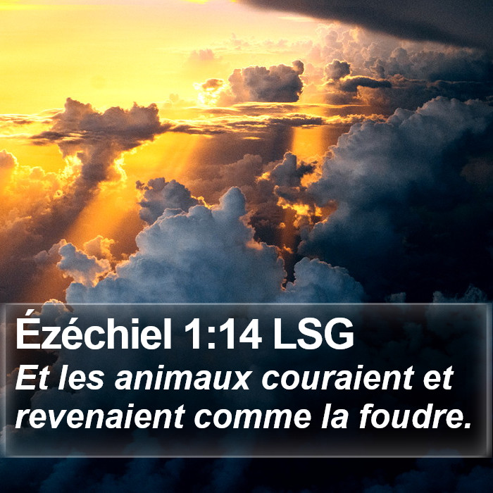 Ézéchiel 1:14 LSG Bible Study