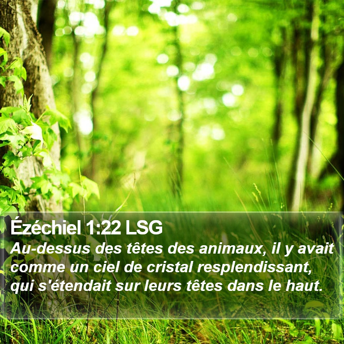 Ézéchiel 1:22 LSG Bible Study